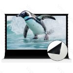 VIVIDSTORM TITAN 160"-200" Motorized Tension Floor Rising ALR Projector Screen - 이미지 4